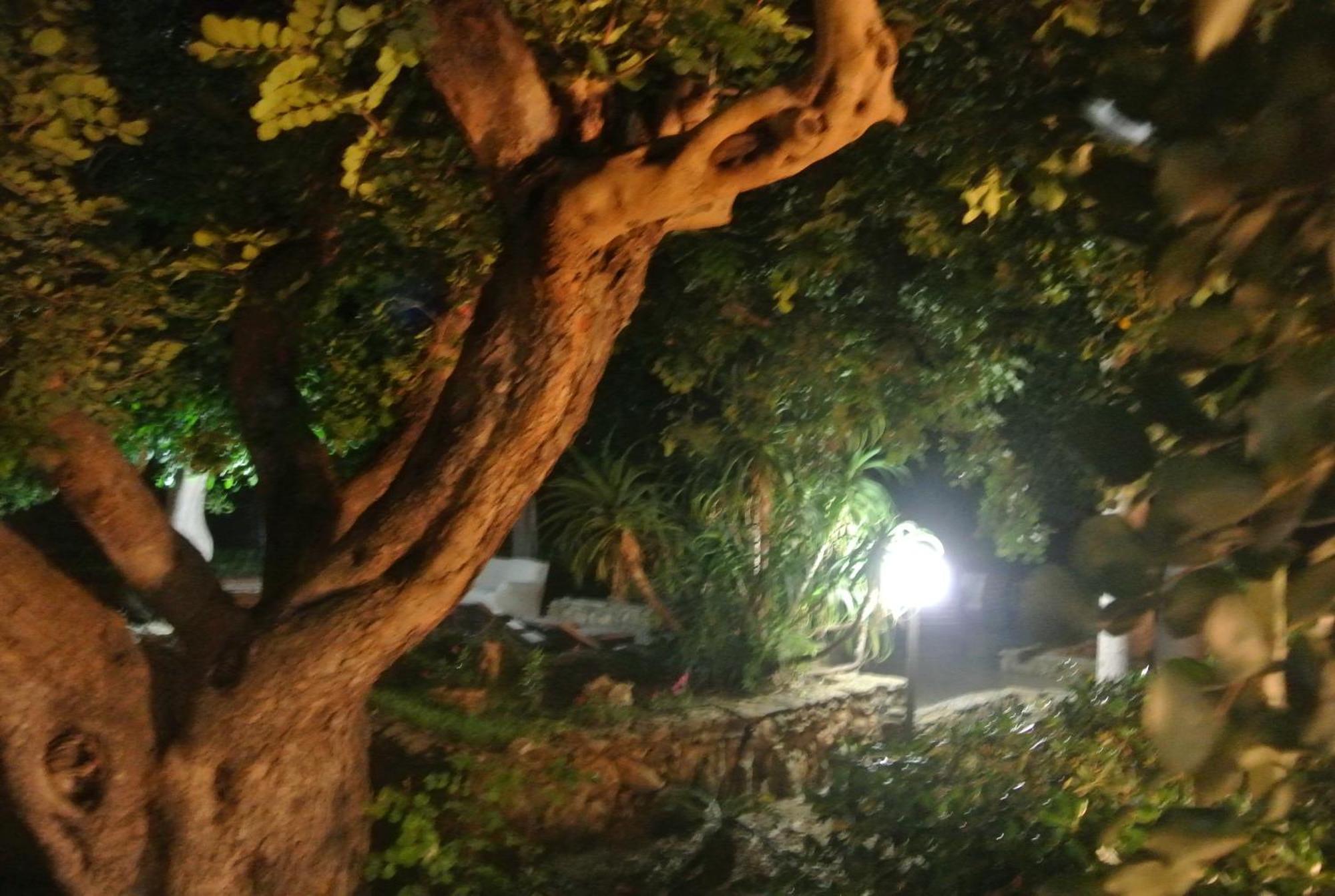 Villa Carlotta Resort San Leone Kültér fotó